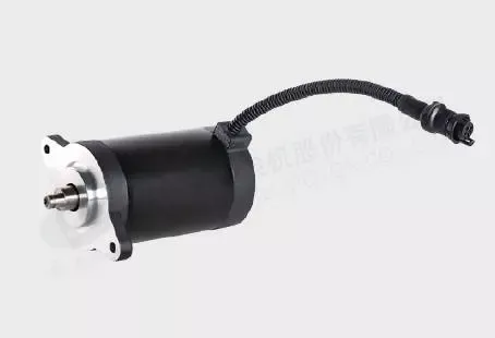 80ZY DC Brush Motor