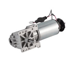 DC Brushed Gear Motor