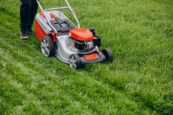 BLDC Motors for Garden Tools