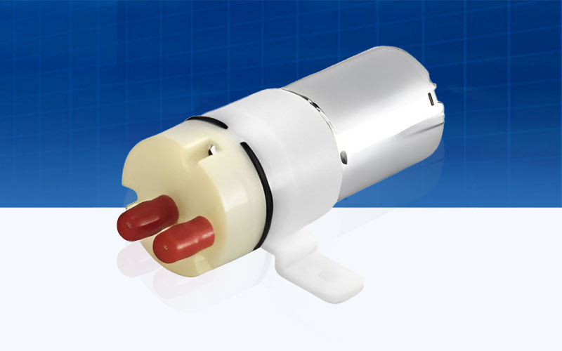 Diaphragm Pump