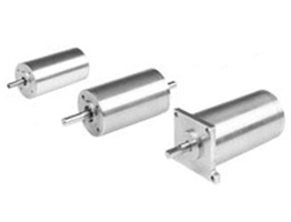 Hollow Cup BLDC Motors