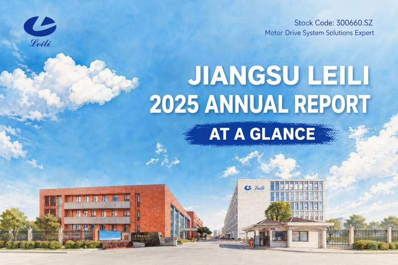 Leili 2025 Annual Report Highlights